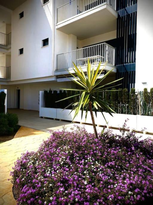 Mychoice Terraces Daire Rota Dış mekan fotoğraf